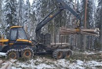 photo_2026-03-23_10-41-19